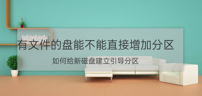 有文件的盘能不能直接增加分区 如何给新磁盘建立引导分区？